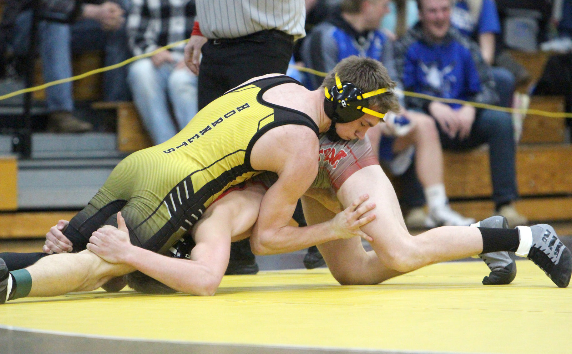 Division 3 Wrestling Regional at Cadott 2-15-20